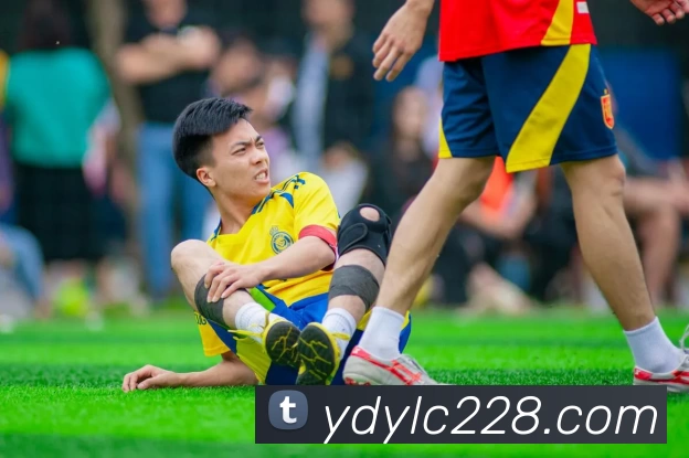 云顶娱乐城官网APP 封面图